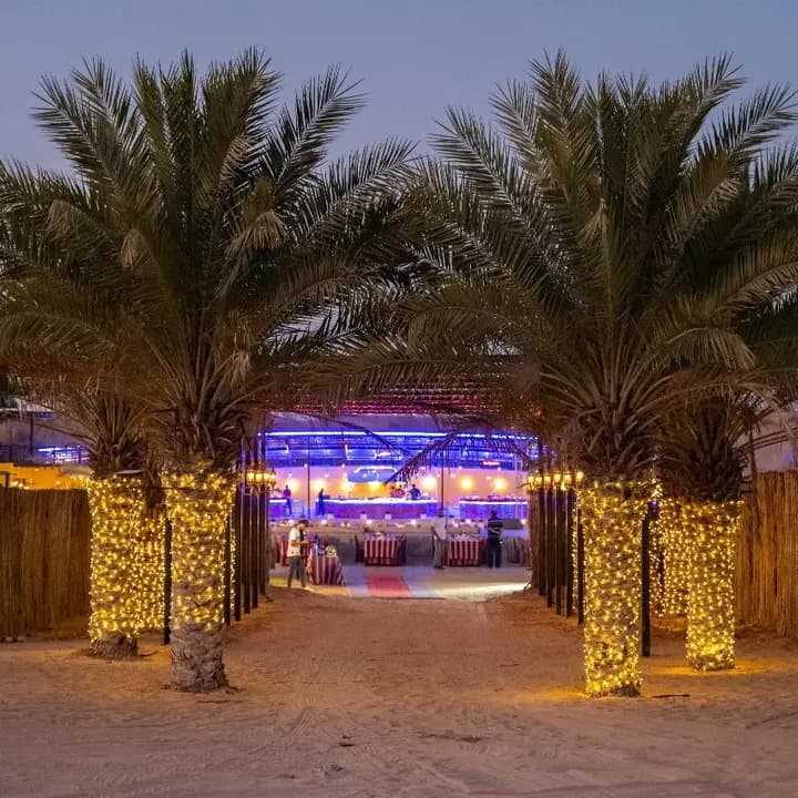 The palm-lined, lantern-lit entrance to the premium camp at dusk