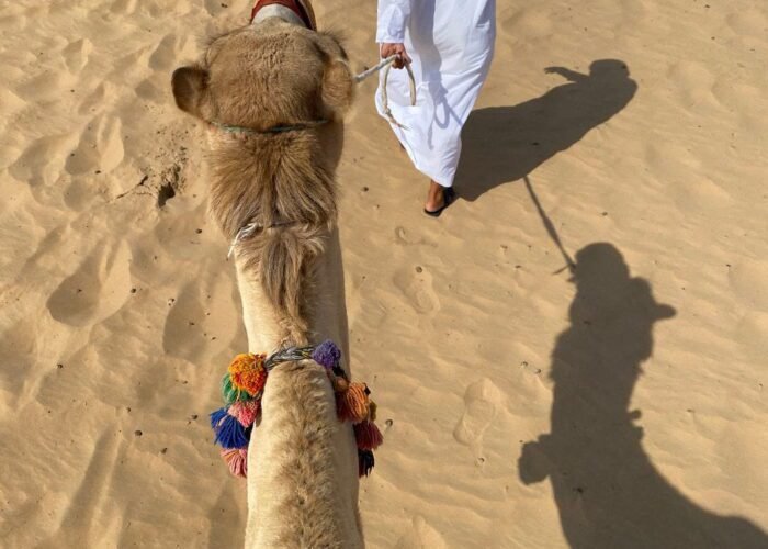 camel ride dubai desert safari
