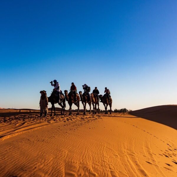 Camel ride in dubai desert safari