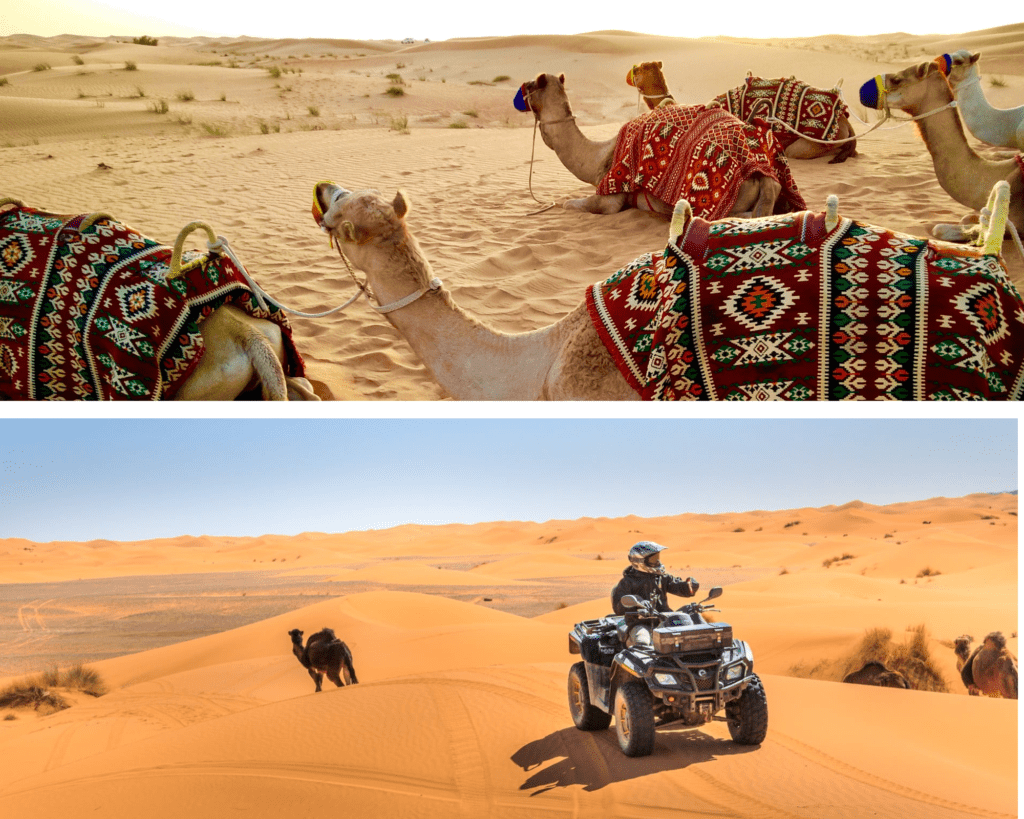 desert safari price influence desert safari price influence