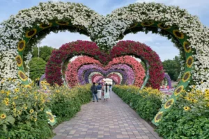 love heart shaped flowers in dubai miracle garden