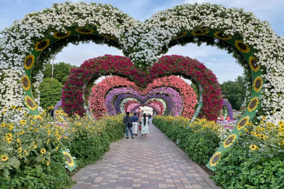 love heart shaped flowers in dubai miracle garden