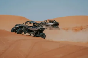 2-Seater Buggy With Premium Desert Safari